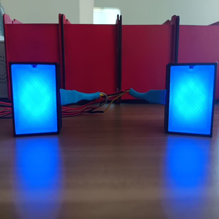 RaceCraftsNZ LED Flags Module, 8LEDS, Programmable, 2 Sides