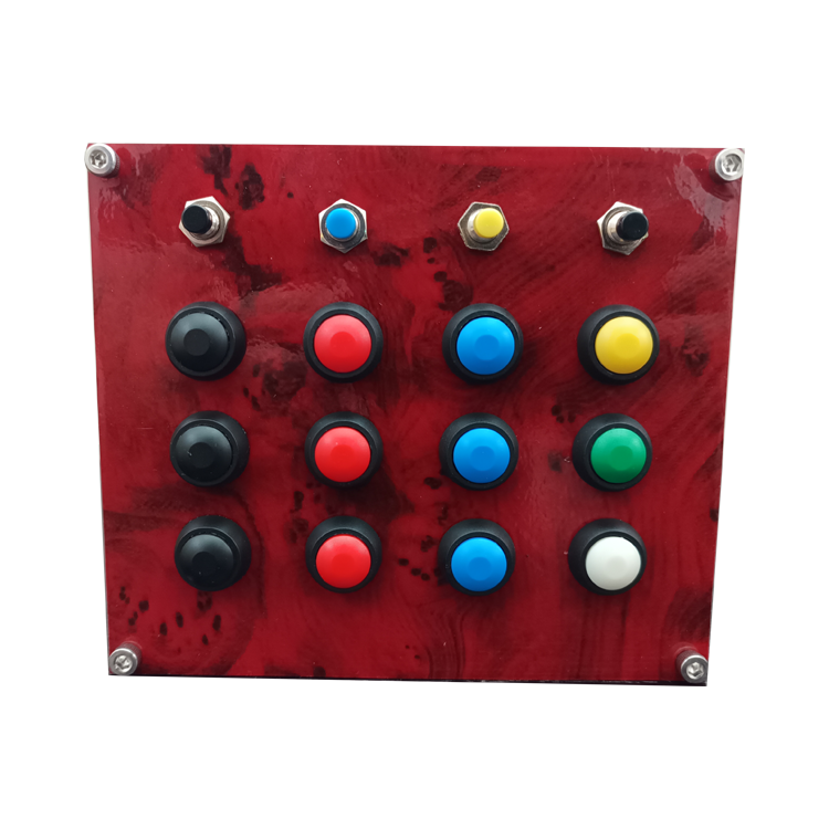 Racecrafts NZ PRO1 Series Button Box - 16 Momentary buttons, Mounting Holes, Vinyl Covered Faceplate